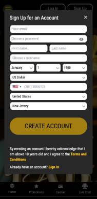 Big Dollar Casino registration screenshot